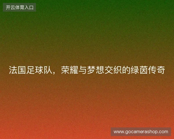 法国足球队，荣耀与梦想交织的绿茵传奇
